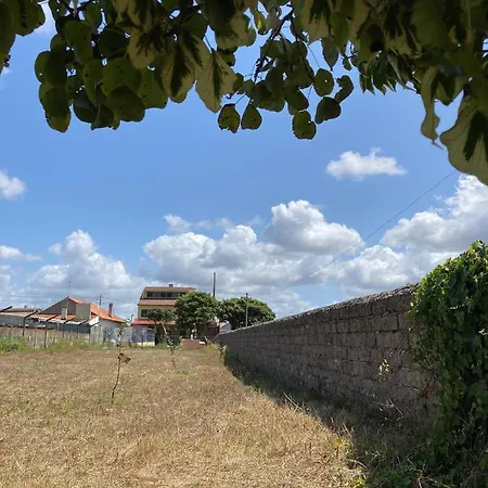 Bed and breakfast Harmonia Carvide